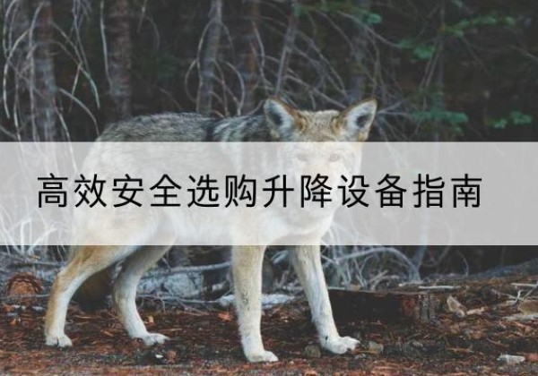 乌兰察布升降货梯厂家推荐-*安全选购升降设备指南
