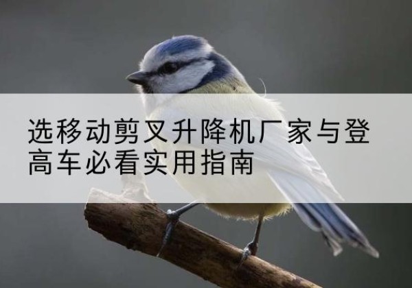 乌兰察布电动升降机厂家-选移动剪叉升降机厂家与登高车必看实用指南